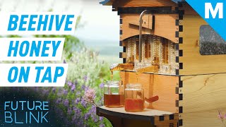 This Smart Beehive Harvests Honey Automatically  Future Blink [upl. by Ahsam]