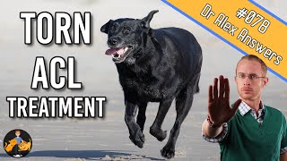 The Best Torn Dog ACL Treatment  Surgery or Home Management  Dog Care Vet Advice [upl. by Parfitt]