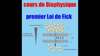 Biophysique  premier loi de FICK diffusion [upl. by Ylac290]