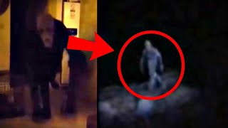 25 Scariest Creature Videos of All Time [upl. by Stewardson]