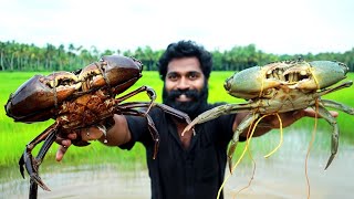 5 Kg BIG SIZE CRAB ROAST MAKING  COOKING SKILL M4 TECH [upl. by Farlie631]