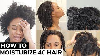 The ONLY Video You Need on How to Moisturize DRY 4C Natural Hair  DETAILED TUTORIAL 🙌🏽 💦 [upl. by Stroud]