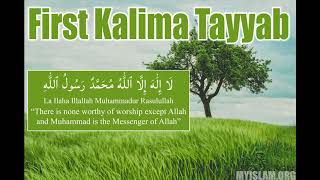 Learn The First Kalima Tayyab EASY  My Islam [upl. by Diann]