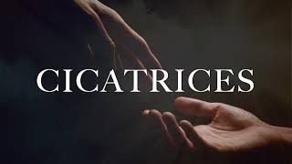 CICATRICES  SCARS IN HEAVEN  CASTING CROWNS  COVER ESPAÑOL [upl. by Drof]