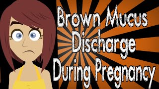 Brown Mucus Discharge During Pregnancy [upl. by Lianna34]