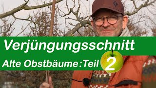 Verjüngungsschnitt  Alte Obstbäume schneiden  Teil 2 [upl. by Thunell]