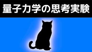 【挑戦】10分でわかるシュレーディンガーの猫 [upl. by Llerehs]