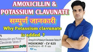 Amoxicillin and Clavulanic Acid  Augmentin  Augmentin Uses Dosage Side Effects amp Precautions [upl. by Etnoek]