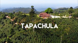 Tapachula Tuxtla Chico y la Ruta del Café en Chiapas  La puerta al Soconusco [upl. by Oleic]