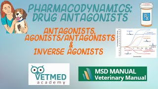 Drug Antagonists AgonistAntagonists and Inverse Agonists [upl. by Anikat]