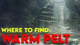 Where to get WARM PELT in Monster Hunter Rise [upl. by Ahsinac]