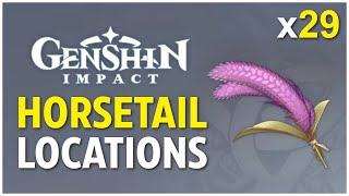 ALL 29 Horsetail Locations  Genshin Impact [upl. by Ahsit]