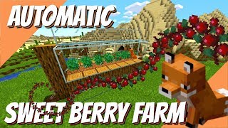 How to Make a Sweet Berry Farm in Minecraft Minecraft Sweet Berries  Foxes 114 Tutorial Avomance [upl. by Nalym219]