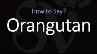 How to Pronounce Orangutan CORRECTLY [upl. by Butte]