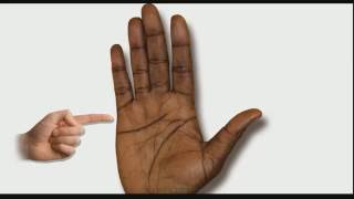 CHILDREN LINES Female Palm Reading Palmistry 100 [upl. by Etteoj]