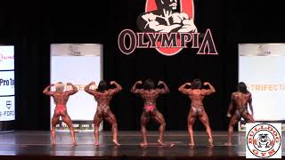 Womens Bodybuilding All Competitors 2020 IFBB Pro Ms Olympia [upl. by Leitman]