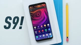 Samsung Galaxy S9 Review The Perfect Samsung [upl. by Aridni]