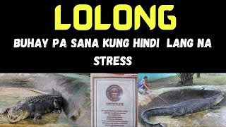 LOLONG [upl. by Nally194]