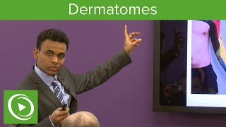 Dermatomes Overview – MRCS  Lecturio [upl. by Damiani]