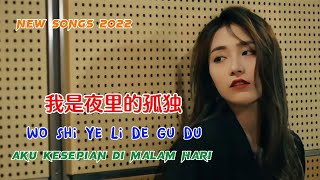 我是夜里的孤独  Wo Shi Ye Li De Gu Du  大美  New Songs 2022 [upl. by Asp]