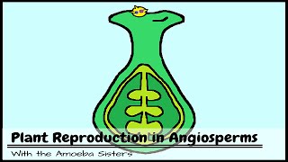 Plant Reproduction in Angiosperms [upl. by Aldercy541]