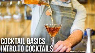 Introduction to Cocktails  Cocktail Basics [upl. by Siurtemed325]