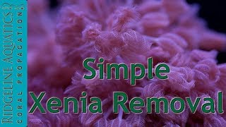 Simple Xenia Removal [upl. by Jeffrey]