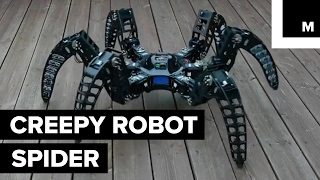 Robotic spider looks freakishly real [upl. by Wolfgang]