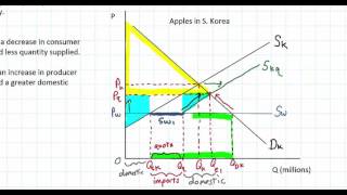 Protectionist Quotas [upl. by Assen]