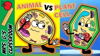 WHAT IS THE DIFFERENCE BETWEEN PLANT AND ANIMAL CELL [upl. by Llevart]