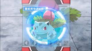 Ivysaur Pokédex Entry  Tag Team Battle Inspiration [upl. by Eiramenna]