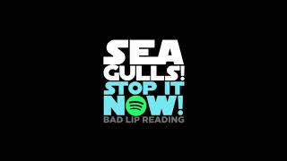 Seagulls Stop It Now Official Audio Version  Bad Lip Reading [upl. by Hines695]