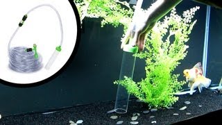 How To Clean Sand Aquarium Substrate [upl. by Anialem75]