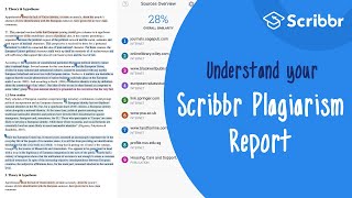 The Scribbr Plagiarism Report Explained  Scribbr 🎓 [upl. by Morville]