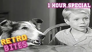 Lassie  1 Hour Special  Full Episodes [upl. by Leahcimsemaj]