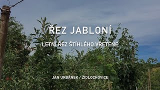 Letní řez jabloní [upl. by Monson]