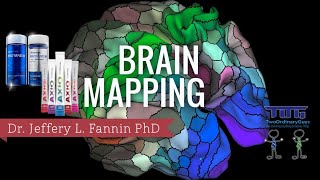 Brain Mapping with Dr Jeffery L Fannin PHD on Protandim Nrf1 Nrf2 AXIO [upl. by Nasia82]