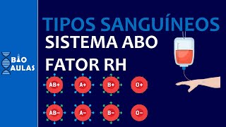 Tipos Sanguíneos  Sistema ABO e Fator Rh ImunoHematologia  Bio Aulas [upl. by Eiram222]