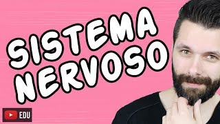 SISTEMA NERVOSO  FISIOLOGIA  Aula  Biologia com Samuel Cunha [upl. by Eilliw]