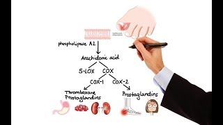 Pharmacology  NSAIDs amp PROSTAGLANDIN ANALOGS MADE EASY [upl. by Eimyaj]