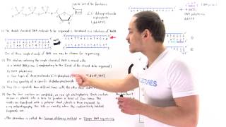 Sanger Sequencing of DNA [upl. by Ateerys]