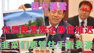 恒大暴雷之央行多重暴力救市优质民营房企暴雷推迟韭菜们要管住手看他们表演躺平叔聊房地产 [upl. by Ethelinda]