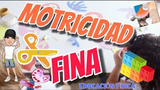 Motricidad FINA Beneficios EDUCACIÓN FÍSICA [upl. by Linn]