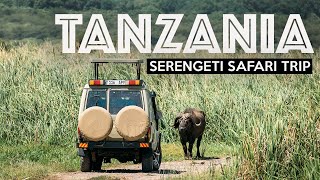 TANZANIA SAFARI  Exploring The Serengeti [upl. by Tybi]