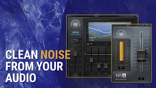 How To Clean Unwanted Noise in Audio Waves WNS  NS1 Tutorial [upl. by Hanahs]