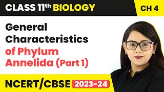 General Characteristics of Phylum Annelida Part 1  Class 11 Biology Chapter 4  NCERTCBSE [upl. by Tania]