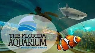 The Florida Aquarium Downtown Tampa [upl. by Nalyad531]