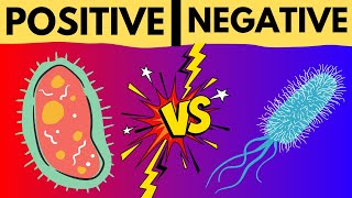 GRAM POSITIVE VS GRAM NEGATIVE BACTERIA  GRAM STAINING TECHNIQUE MADE EASY  EXPLAINED IN 5 MINUTES [upl. by Wharton]