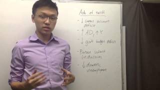 How to write a Level7 International Economics IA in 2 hours [upl. by Anan]