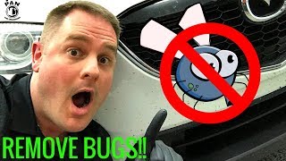 HOW TO REMOVE BUGS FROM A CAR SUPER EASY [upl. by Aicinod]